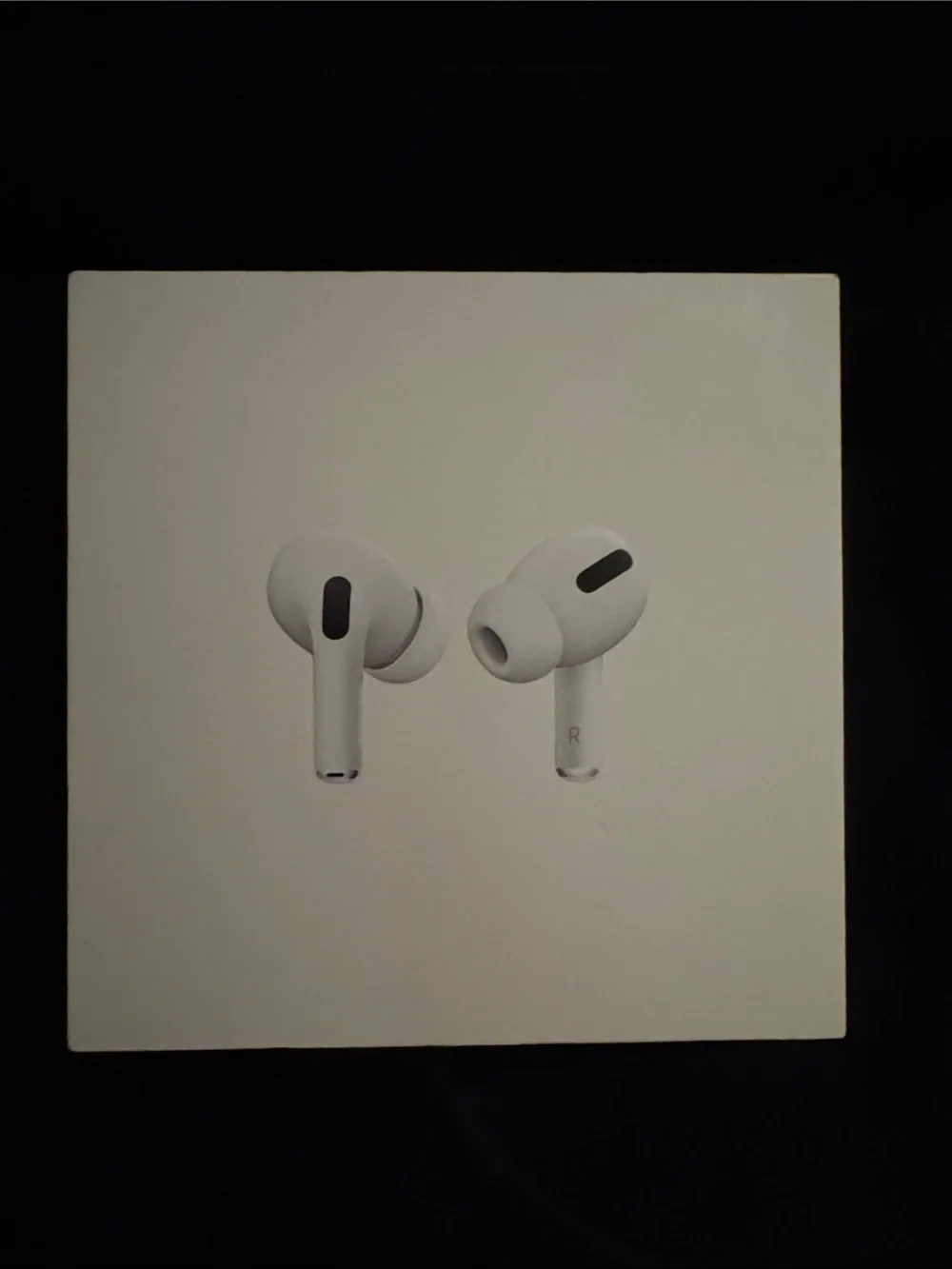 Apple AirPods Pro Wireless Earbuds (White)